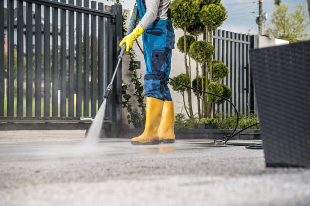 Best Roof Pressure Washing  in South Bend, IN